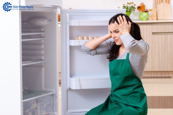 Hỗ trợ sửa tủ lạnh tại nhà bất kỳ lỗi phức tạp nào